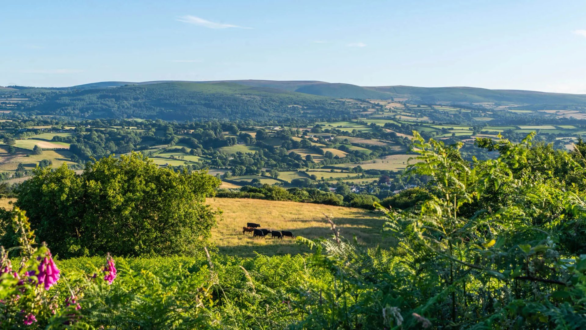 Wray Valley Trail from Moretonhampstead to Bovey Tracey